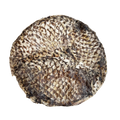 Home Range - FursBee Tilapia Disc [15 ct]