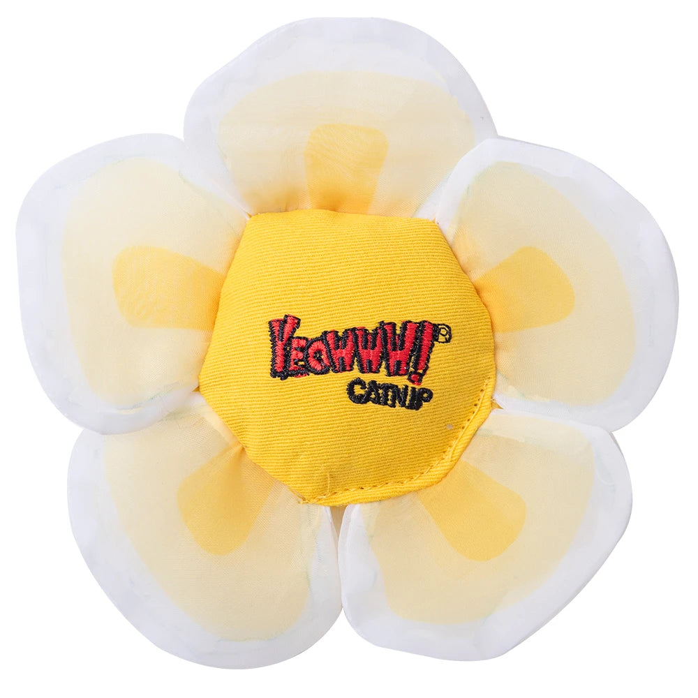 Yeowww! Daisy Flower Top - White