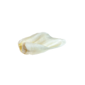 Home Range - Large Cow Ear [35ct]