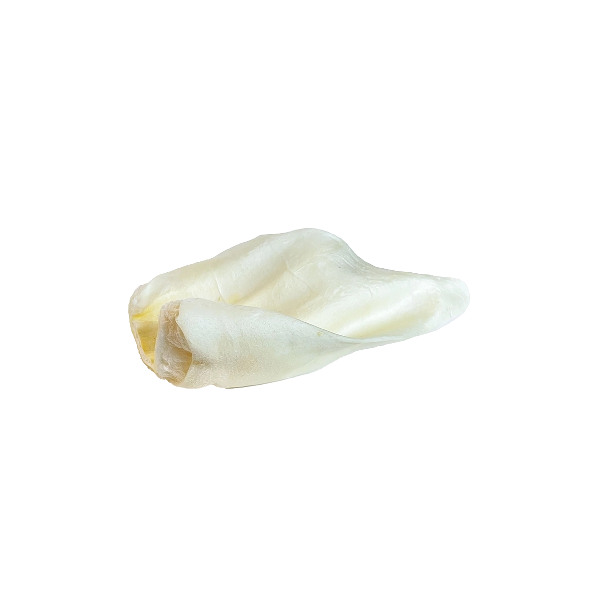 Home Range - Large Cow Ear [35ct]