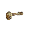 Home Range - Cured Dino Bone [5ct]