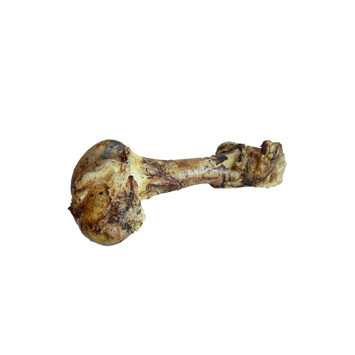 Home Range - Cured Dino Bone [5ct]