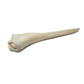 Home Range - Full Length Bull Tail