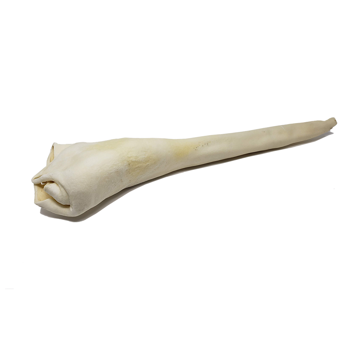 Home Range - Full Length Bull Tail