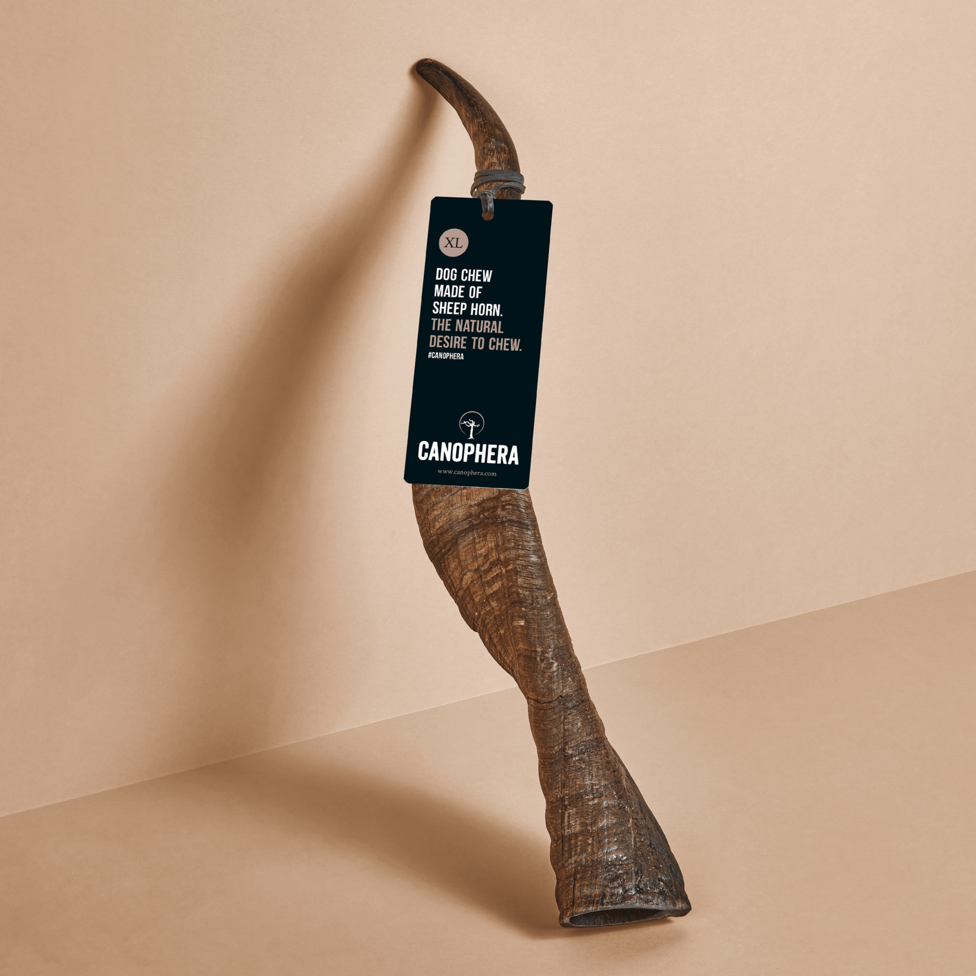 Canophera - X-Large Sheep Horn